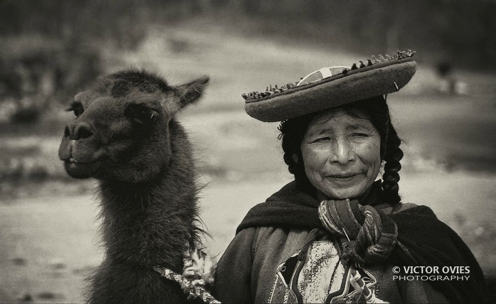 Woman and Llama in Cusco